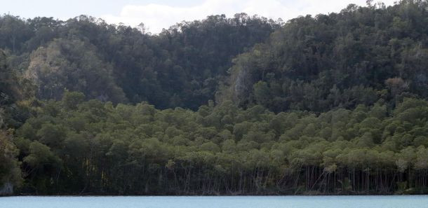 Beş yıldızlı "Survivor" heyecanı - Resim: 13