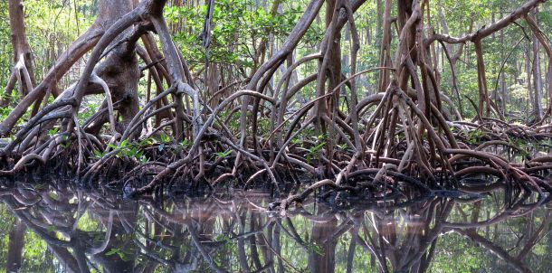 Beş yıldızlı "Survivor" heyecanı - Resim: 20