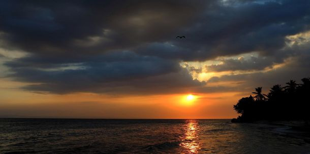 Beş yıldızlı "Survivor" heyecanı - Resim: 9