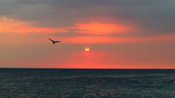 Beş yıldızlı "Survivor" heyecanı - Resim: 1