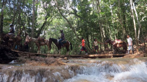 Beş yıldızlı "Survivor" heyecanı - Resim: 2