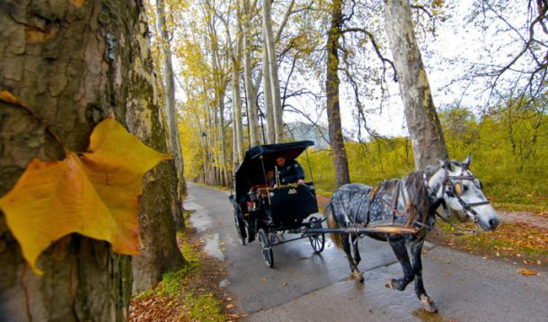 Bosna Hersek binbir renk - Resim: 19