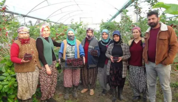 Sadece su istiyor, kilosu 110 lira! - Resim: 1