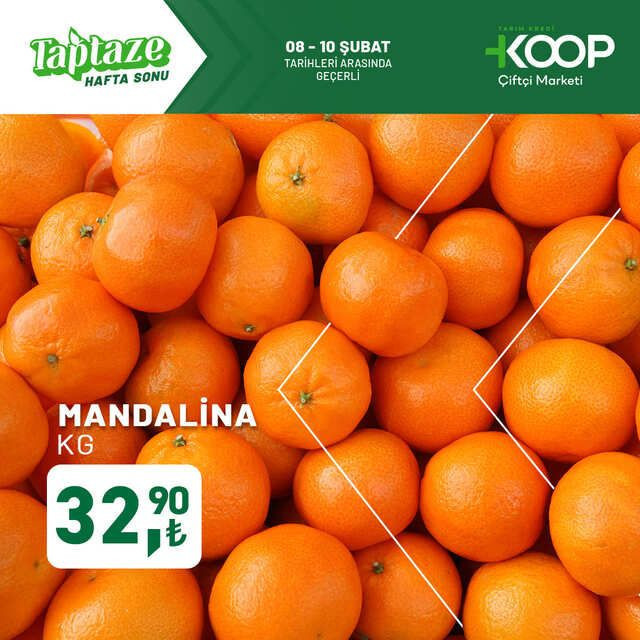 TARIM KREDİ KOOPERATİFİ İNDİRİM KATALOĞU: 10 ŞUBAT 2025 tarihinde Hangi Ürünler İndimli? - Resim: 6