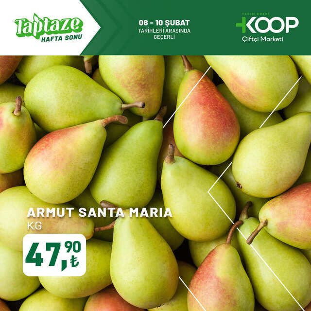 TARIM KREDİ KOOPERATİFİ İNDİRİM KATALOĞU: 10 ŞUBAT 2025 tarihinde Hangi Ürünler İndimli? - Resim: 7