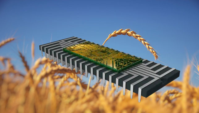 Gelecek için hangisi? Çip mi, buğday mı? - Resim : 1
