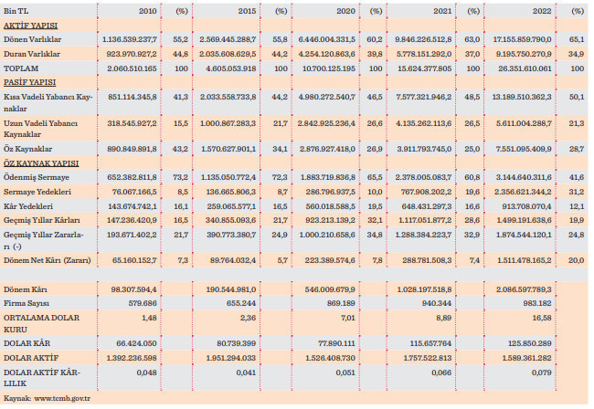 Ekonomide özel sektörün konsolide durumu (2022 TCMB sektör bilançoları kaynaklı) - Resim : 1