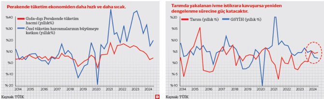 1 kilo pamuk mu, 1 kilo demir mi? Türkiye ekonomisinin üretim ve tüketim yapısı - Resim : 1