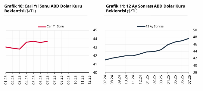 2025 Temmuz TCMB Piyasa Katılımcıları Anketi açıklandı: İşte yıl sonu dolar, enflasyon, büyüme ve faiz tahmini! - Resim : 4