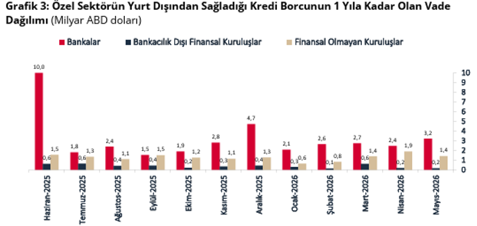 Son dakika: Özel sektörün yurt dışı kredi borcu mayısta arttı! - Resim : 3