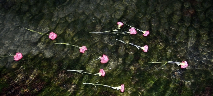 Marmara depreminin 15. yıl dönümü - Resim: 12