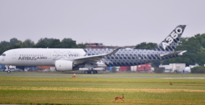 Paris'te 'ATAK' ve 'ANKA' rüzgarı esti - Resim: 22