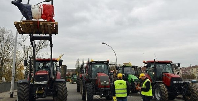 Süt üreticilerinden ilginç protesto - Resim: 3