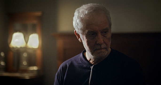 Sinemaseverleri 9 yeni film bekliyor (24.12.2015) - Resim: 5