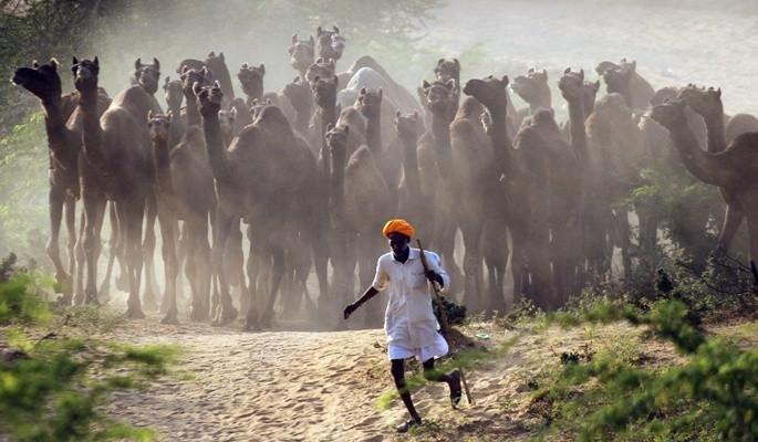 Instagramın en beğenilenleri - Resim: 13