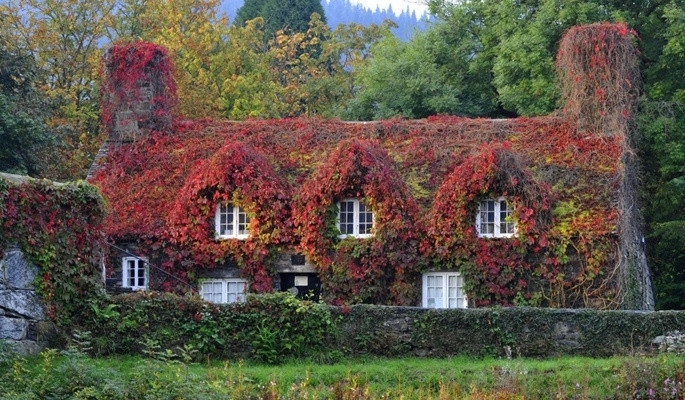 Instagramın en beğenilenleri - Resim: 5