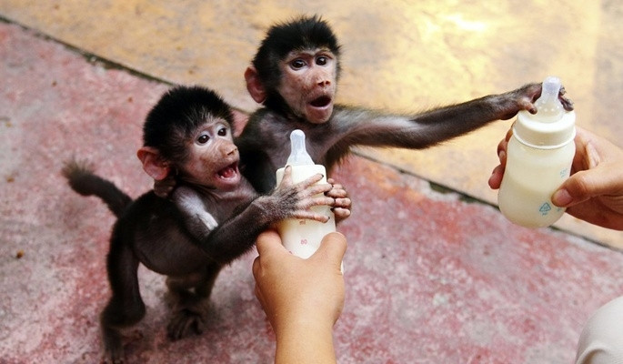 Instagramın en beğenilenleri - Resim: 6