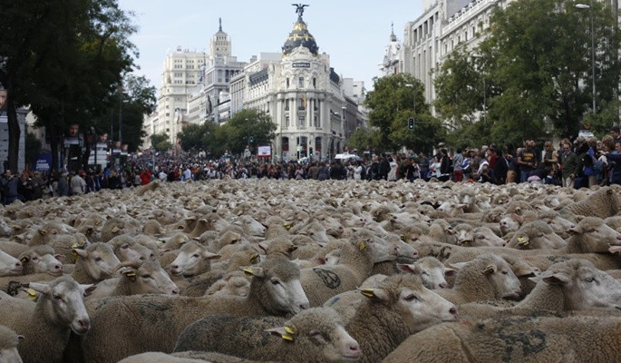 Instagramın en beğenilenleri - Resim: 7