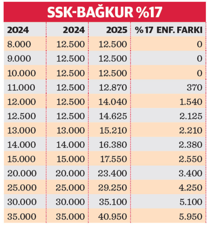 Emeklilik durumu ve kamu istihdamı - Resim : 2