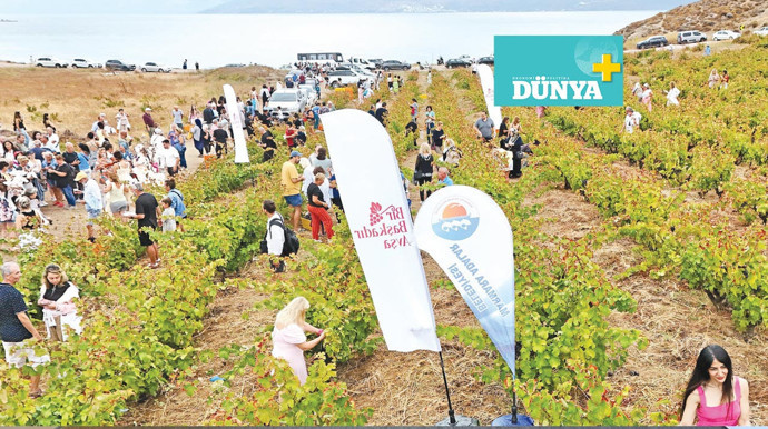 Avşa Adası’nın hikâyesi Ada Karası’yla yazılıyor - Resim : 2