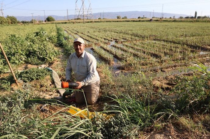 Aydın'ı kuraklık vurdu: Çiftçiler mesai saatlerini değiştirdi - Resim : 1