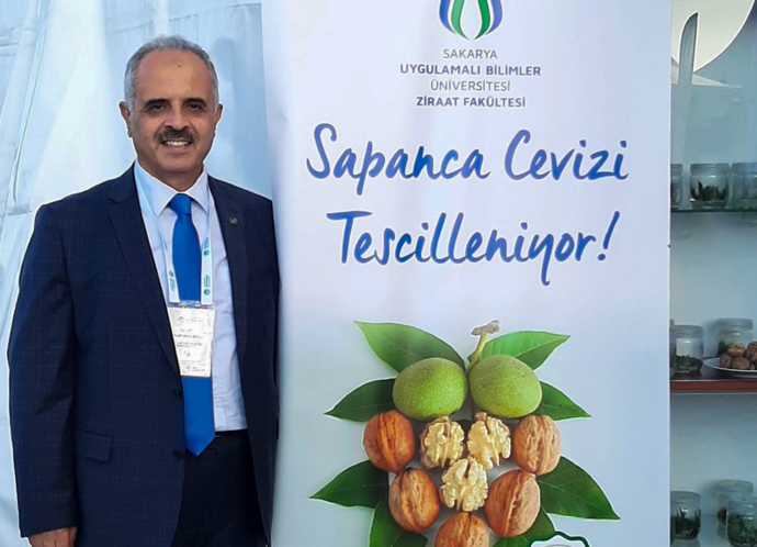 'Sapanca cevizi' coğrafi işaretle tescillendi - Resim : 1
