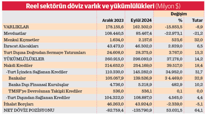 Reel sektör 2025’e yüksek kur riskiyle giriyor - Resim : 2