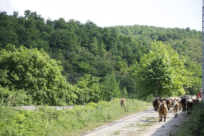 Şile'nin sonbahar büyüsüne davet - Resim: 11