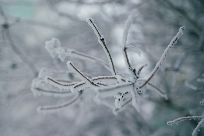 Eksi 50 derecede günlük yaşam - Resim: 13