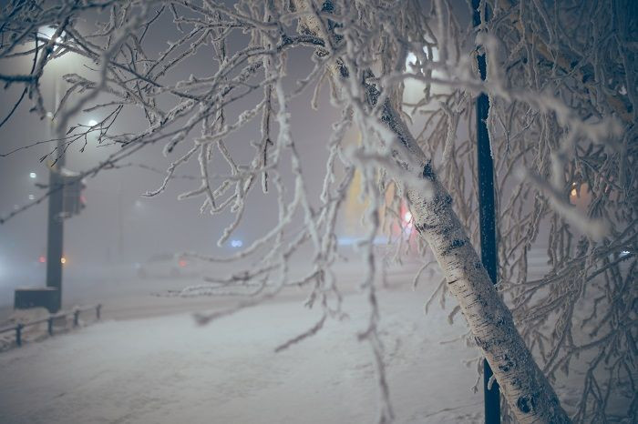 Eksi 50 derecede günlük yaşam - Resim: 19