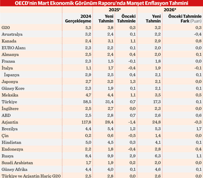 Enflasyon liginde Türkiye Arjantin’le yer değiştiriyor - Resim : 2