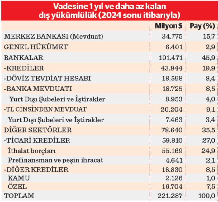 Kısa vadeli dış borçta ‘kur riski’ kaygısı - Resim : 2