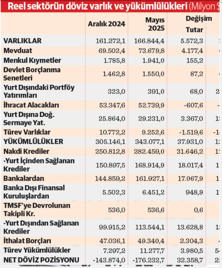 Reel sektörün kur riski hızla büyüdü - Resim : 2