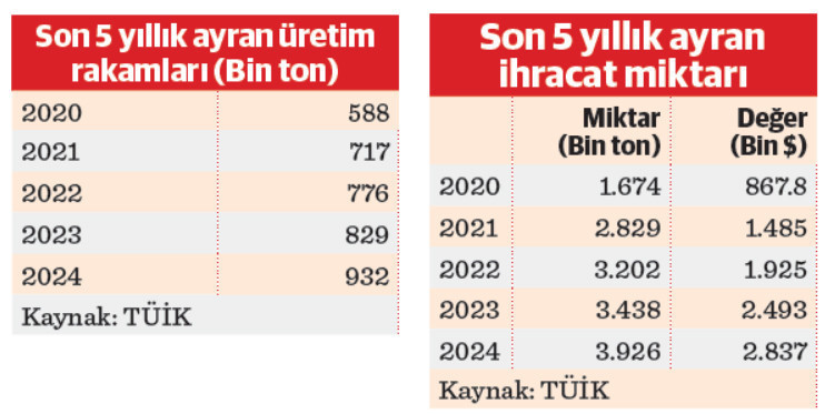 Sevinçte de kederde de ayran içtik - Resim : 1