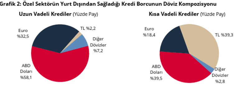 Son dakika: Özel sektörün yurt dışı kredi borcu mayısta arttı! - Resim : 2
