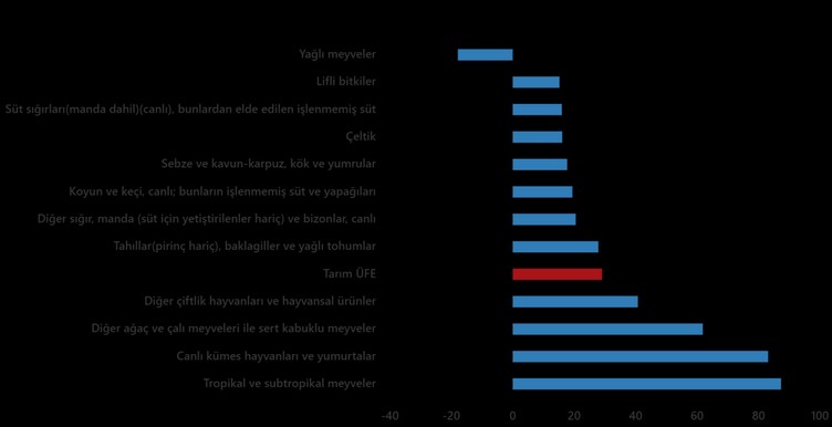 Son Dakika...TÜİK açıkladı: Çiftçinin enflasyonu mayısta yükseldi! - Resim : 2