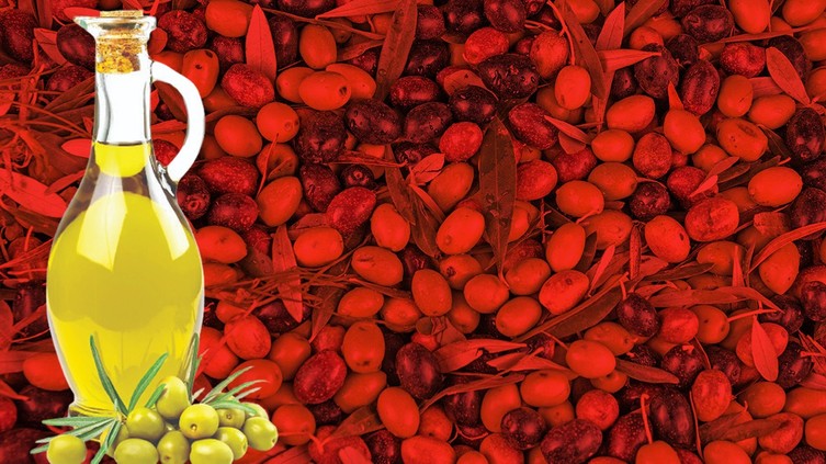 Zeytinyağında rekor stok devri tehlikesi