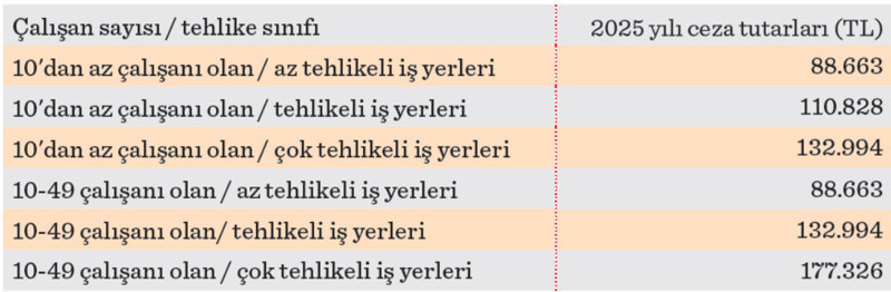 Zorunlu iş sağlığı ve güvenliği sistemine kolaylık getirilmeli - Resim : 1