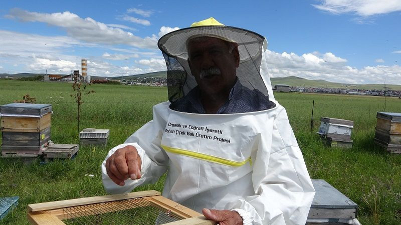 Arı zehrinin fiyatı dudak uçuklatıyor: Kilogramı 100 bin dolar - Resim: 4