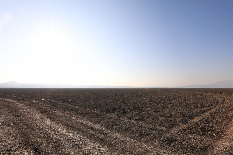 Kuruyan Marmara Gölü'nde tarıma başlandı - Resim : 1