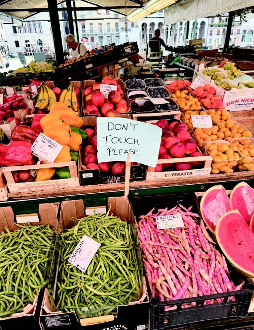 Akdeniz’in iki yakası, tarımın iki yüzü: Türkiye ve İtalya - Resim : 2