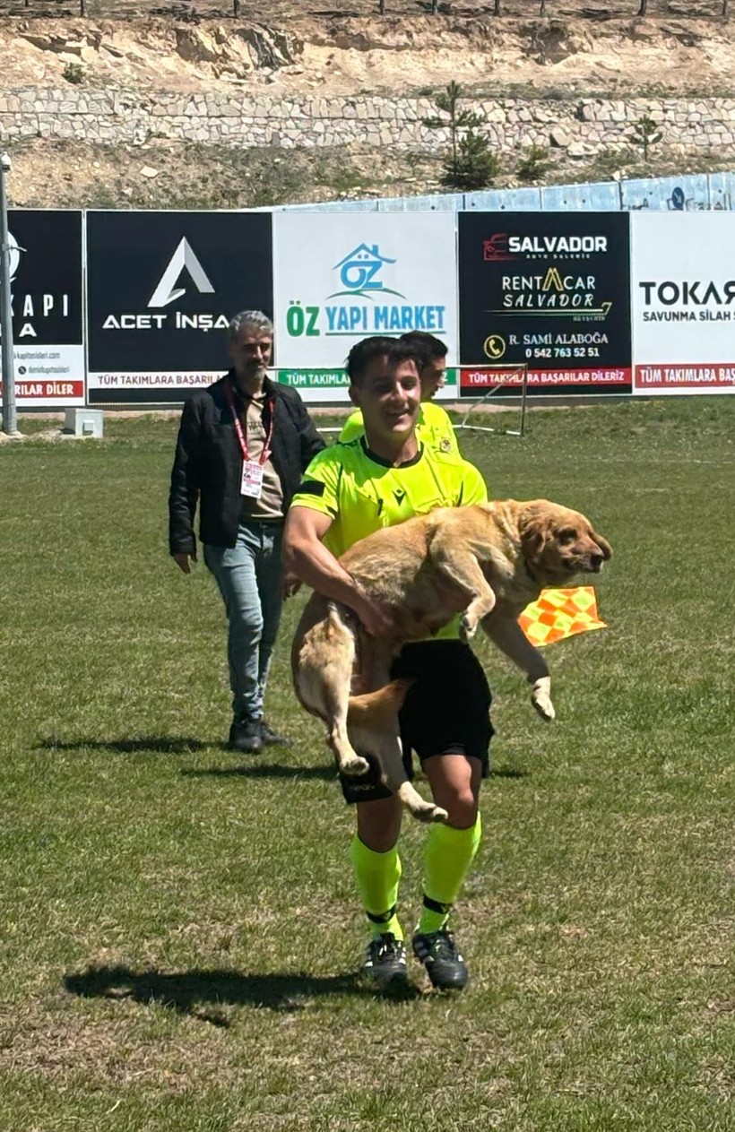 Amatör maçta hakem sahaya giren köpeği kırmızı kart gösterip dışarı çıkardı - Resim : 1