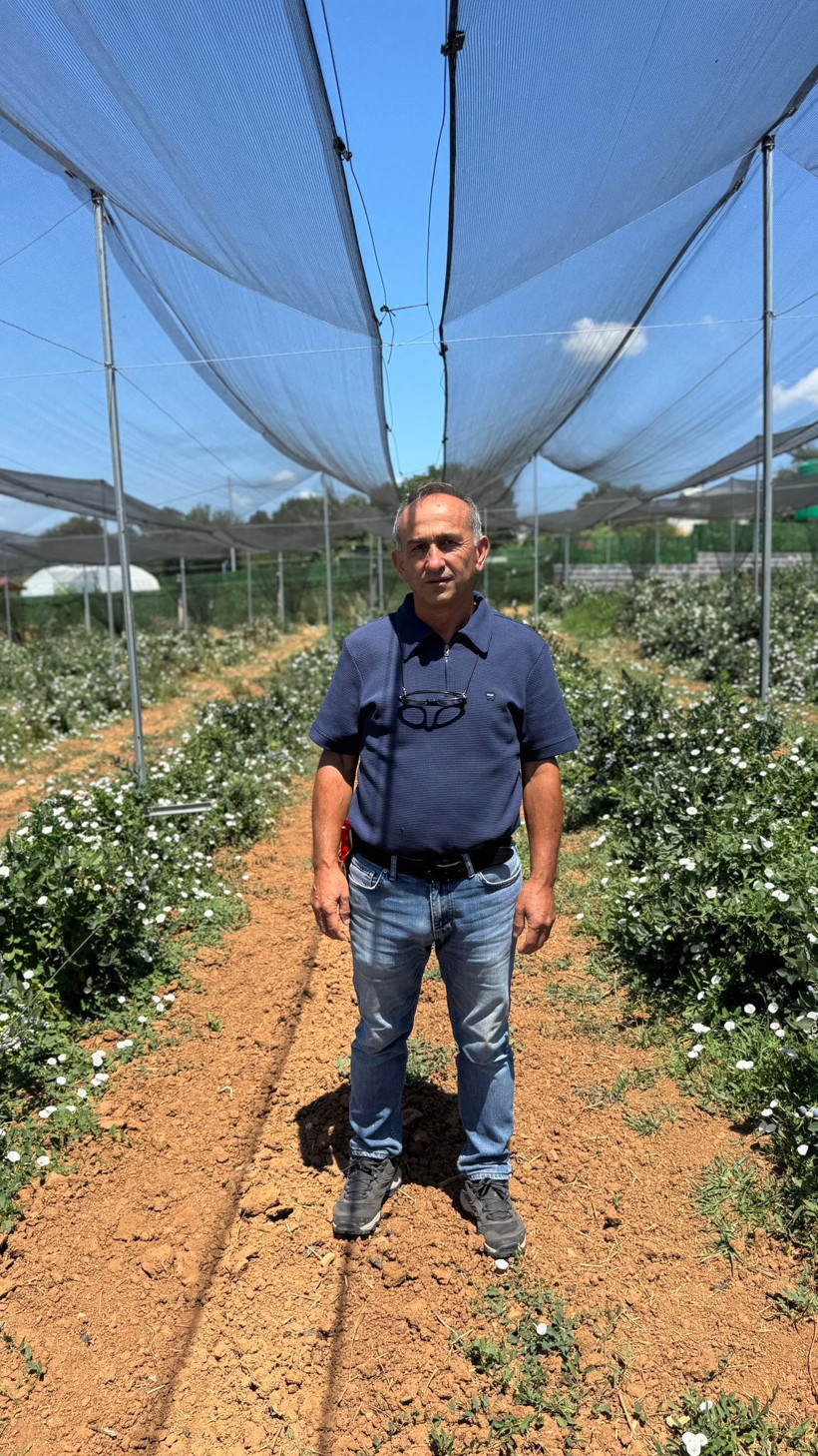 İstanbul’da yaban mersini verimi ortalamanın üzerine çıktı! - Resim: 7