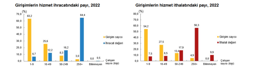 TÜİK: Hizmet ihracatının yüzde 64,4'ünü 2022'de büyük ölçekli girişimler yaptı - Resim : 3