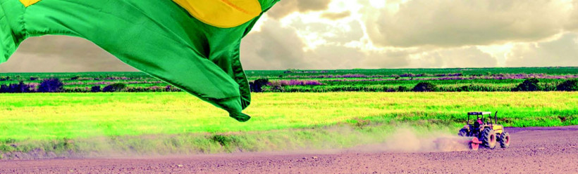 Dünyanın tarım üssü Brezilya - Resim : 1