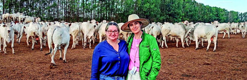 Dünyanın tarım üssü Brezilya - Resim : 2