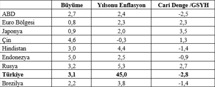 Mahfi Eğilmez'den 2024 için yıl sonu enflasyon tahmini: Beklentim yüzde 50 üzeri - Resim : 1
