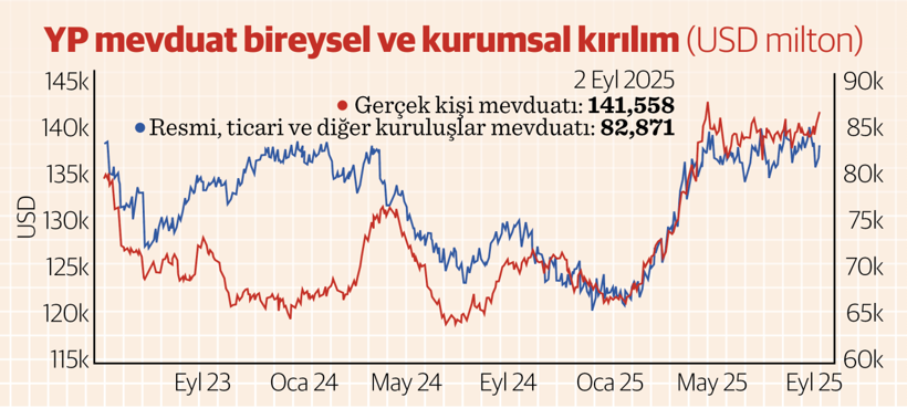 Kritik karar: TCMB bu hafta ne yapacak? Ne yapmalı? - Resim : 4