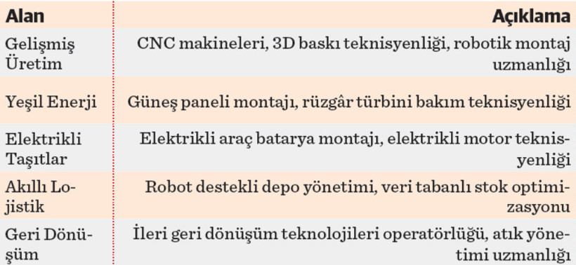 Geleceğin mavi yakalıları: Dijital tornavidalar, yeşil beceriler - Resim : 1