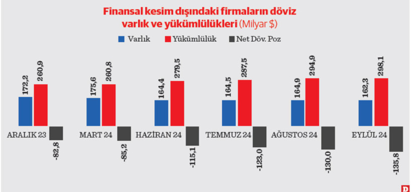 Reel sektör 2025’e yüksek kur riskiyle giriyor - Resim : 1